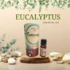 Eucalyptus Essential Oil – Pure, Natural, and Therapeutic Grade